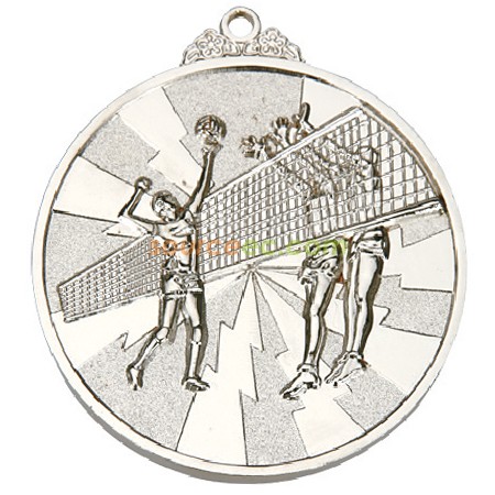 Customization Volley Ball Medal Promotional Products