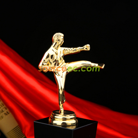Customization Trophy Promotional Products
