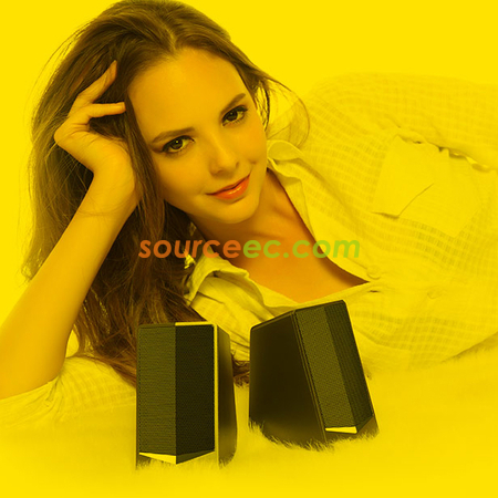 Customization HIFI Speaker Promotional Products