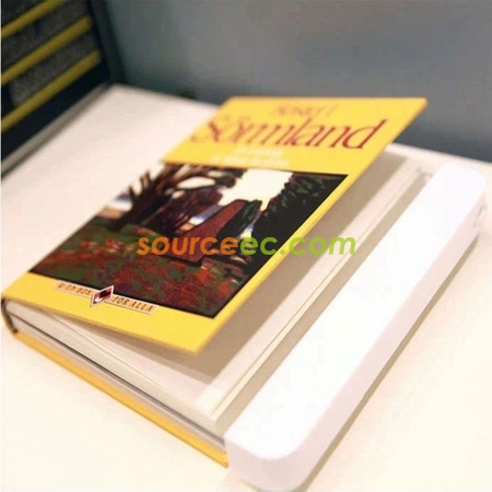 Customization Portable LED Read Panel Promotional Products