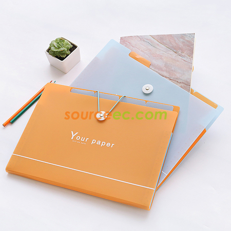 Customization A4 Paper Expanding File Folder Promotional Products