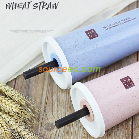 Customization 450ML Wheat Straw Double Cover Tape Sucker Leakage Cup Promotional Products