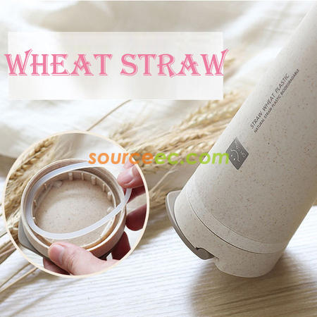 Customization 450ML Wheat Straw Double Insulated Cup Promotional Products
