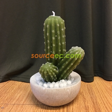 Customization Cactus Candles Gift Promotional Products