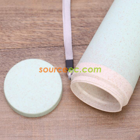 Customization 300ML Wheat Straw Double Insulated Cup Promotional Products