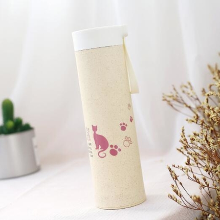 Customization Glass Water Bottle Promotional Products