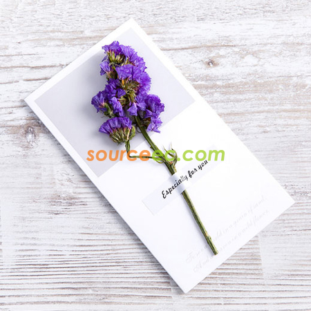 Customization Dried Flower Greeting Card Promotional Products