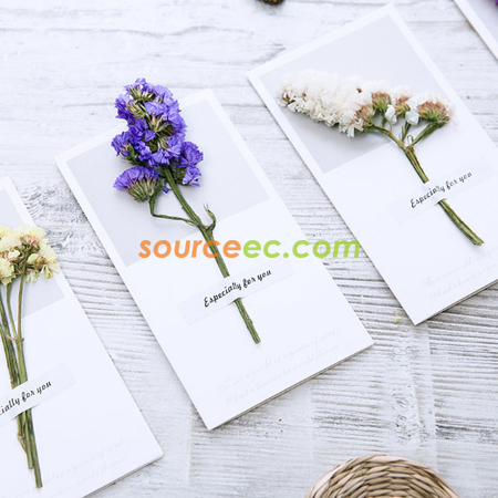 Customization Dried Flower Greeting Card Promotional Products