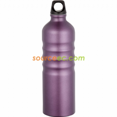 Aluminum Sport Bottle