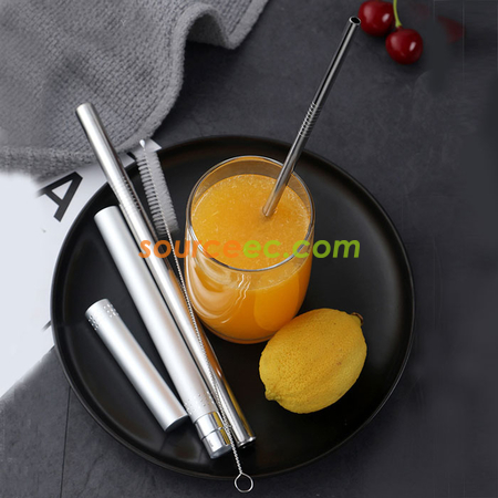 Eco Straw Set