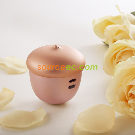 Customization Acorn Mini Hand Warmer Promotional Products