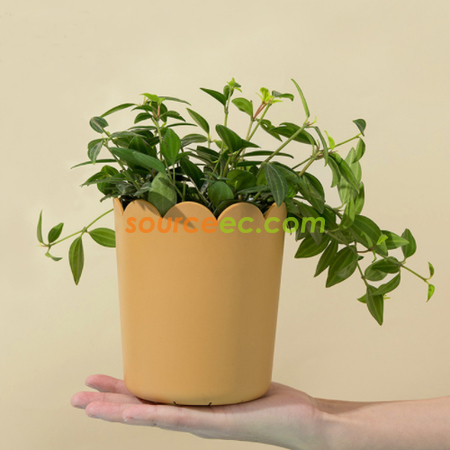 Customization Petal Mouth Flower Pot Promotional Products