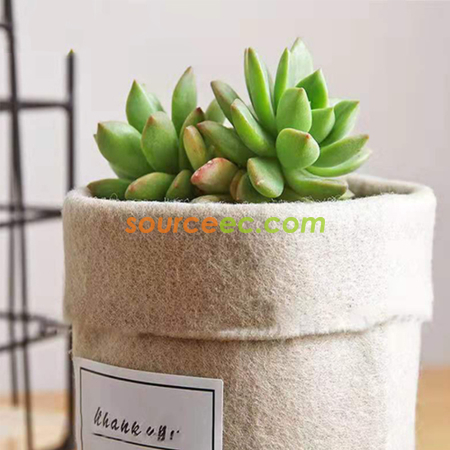 Customization Felt Flower Pot Promotional Products