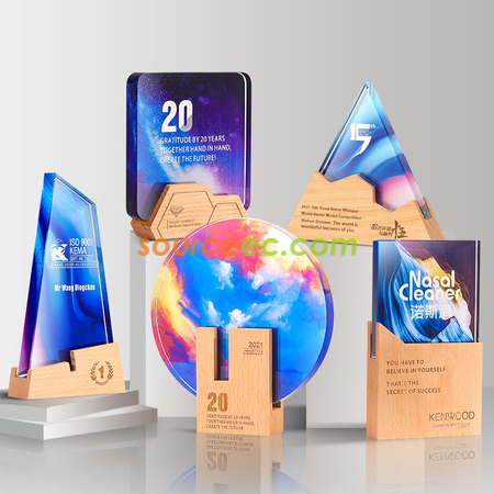 Customization Crystal Trophy Promotional Products
