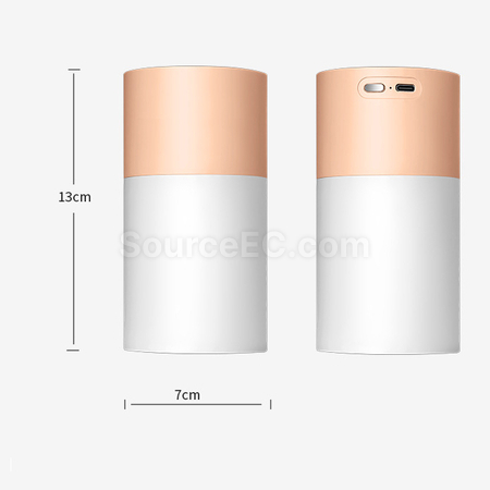 Customization Alcohol Disinfection Sprayer Promotional Products