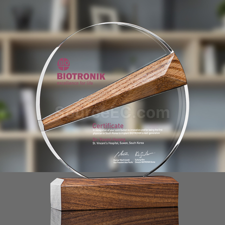 Customization Crystal Trophy Promotional Products
