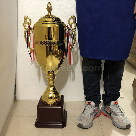 Customization Trophy Cup Promotional Products