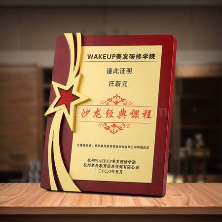Customization Metal Five Star Medal Promotional Products