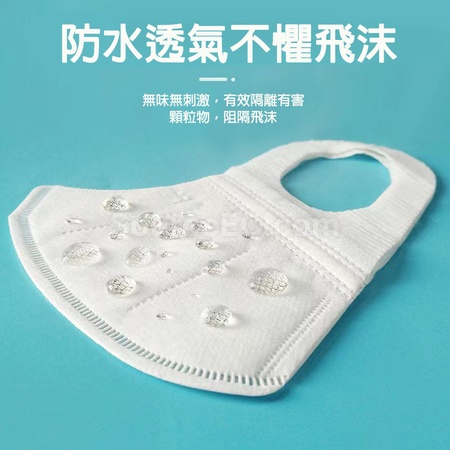 Customization 3D Adult Mask for Large Size Promotional Products