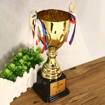 Customization Trophy Cup Promotional Products