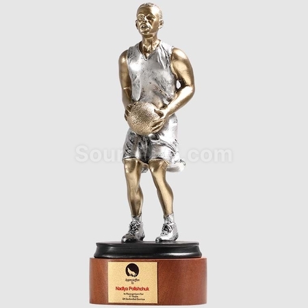 Customization Basketball Trophy Promotional Products