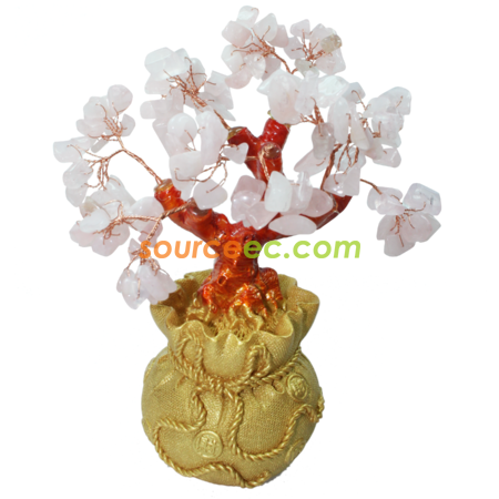 Customization Pachira Promotional Products