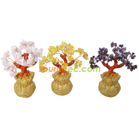 Customization Pachira Promotional Products