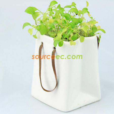 Customization Environmental Planted Gift Promotional Products