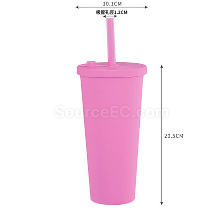 Customization Double-layer Straw Cup Promotional Products