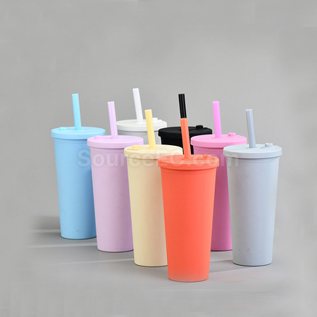 Customization Double-layer Straw Cup Promotional Products