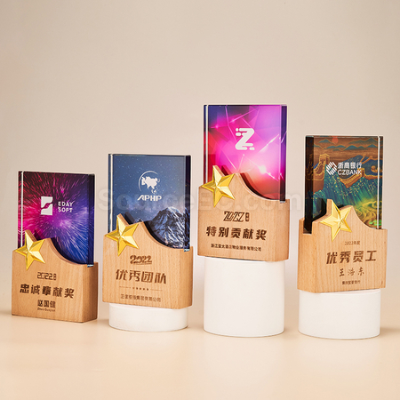 Customization Crystal Trophy Promotional Products