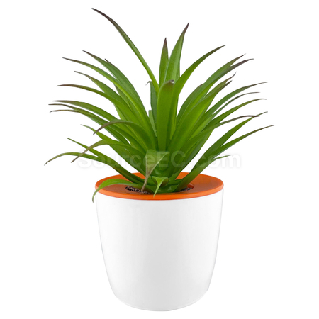 Customization Mini Desk Plant Pot Promotional Products
