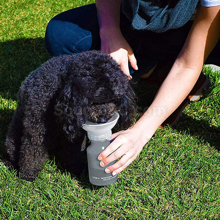 Customization AutoPupCup Promotional Products