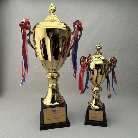 Customization Trophy Cup Promotional Products