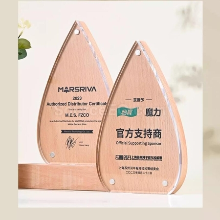 Customization Creative Water Drop Solid Wood Acrylic  rophy Promotional Products