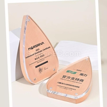 Customization Creative Water Drop Solid Wood Acrylic  rophy Promotional Products