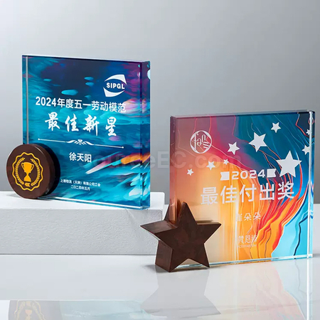 Customization Crystal Trophy  Promotional Products
