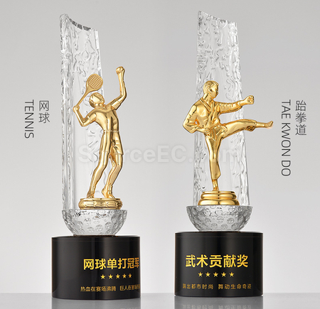 Customization Crystal trophy Promotional Products