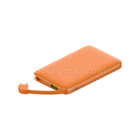 Customization 10000mAh dual line fast charging power bank Promotional Products