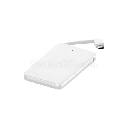 Customization 10000mAh dual line fast charging power bank Promotional Products