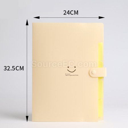 Customization PP File Bag Promotional Products