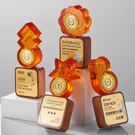 Customization Solid Wood Crystal Trophy Promotional Products