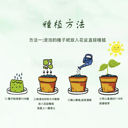 Customization Seed Paper Fan Promotional Products