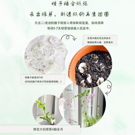 Customization Seed Paper Notebook Promotional Products