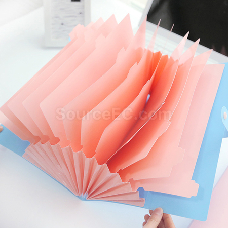 Customization PP File Bag Promotional Products