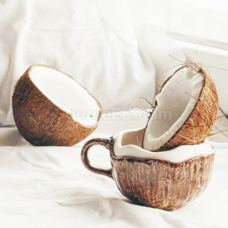 Customization Irregular Coconut Ceramic Mug Promotional Products