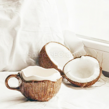 Customization Irregular Coconut Ceramic Mug Promotional Products