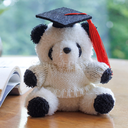 Customization Graduation Bear Keychain Promotional Products