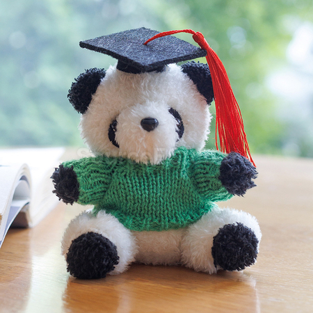 Customization Graduation Bear Keychain Promotional Products