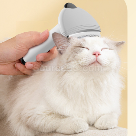 Customization 2-in-1 Pet Hair Removal and Sticky Comb Promotional Products